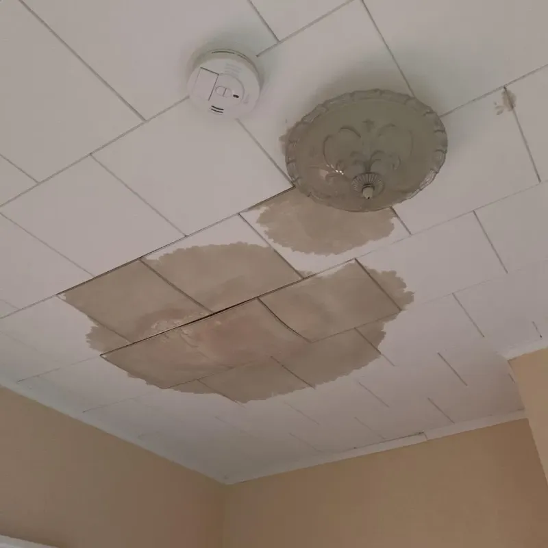 Ceiling Water Damage Repair in North Potomac, MD