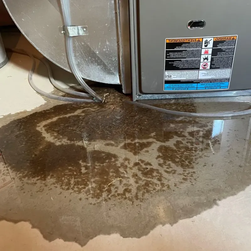 Pipe Burst and Leak Restoration in North Potomac, MD